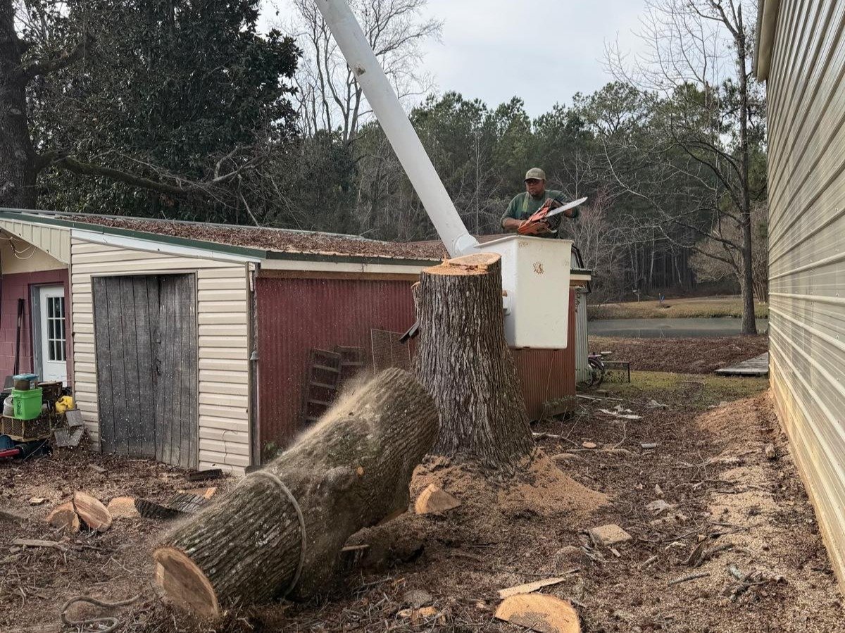 El Costeño Tree Service LLC